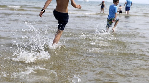 Visiktors paddling in shallow sea water.